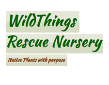 Wildthings Rescue Nursery, Valley Falls NY