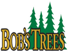 Bob's Trees, Galway NY