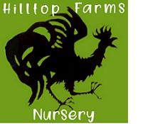 Hilltop Farms Nursery, Averill Park NY