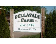 Dellavale Farm, Pattersonville NY