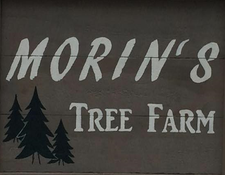 Morin's Tree Farm, Buskirk NY