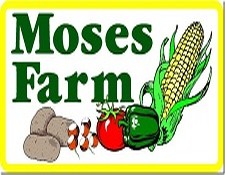 Moses Farm, Eagle Bridge NY