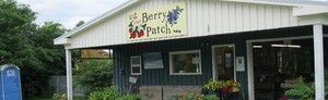 Berry Patch