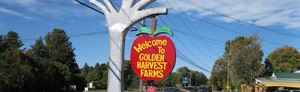 Golden Harvest Farms
