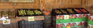 Fix Bros Fruit Farm