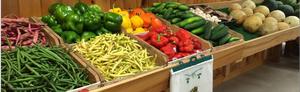 Engel's Acres