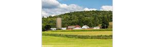 Taste & See Refuge at Gardenworks Farm