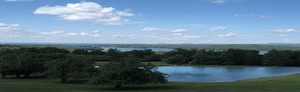 Lakeview Orchards