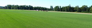 Saratoga Sod Farm