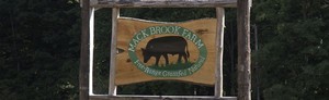 Mack Brook Farm