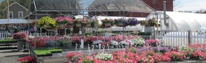 Sorano's Greenhouses