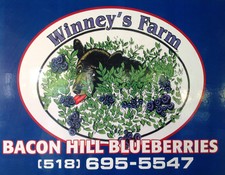 Winney's Blueberry Farm, Schuylerville NY