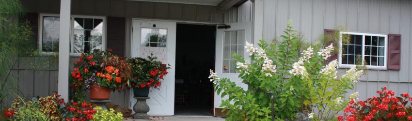 A Visit to Zema's Nursery