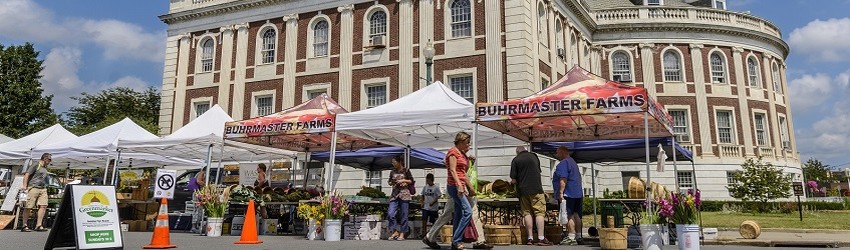Farmers' Markets in the Greater Capital Region