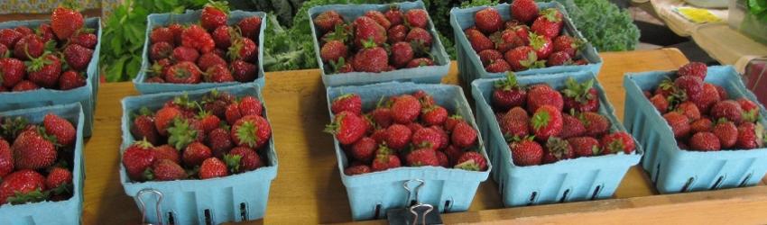 Handling and Freezing Tips for Your Strawberry Harvest