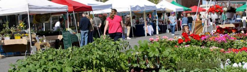 Schenectady Greenmarket moves outside City Hall April 11
