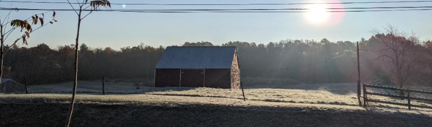 Christmas Day in the Morning