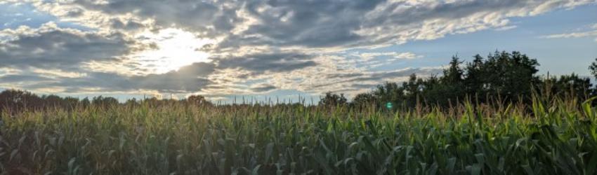 Farming and Our Food Supply