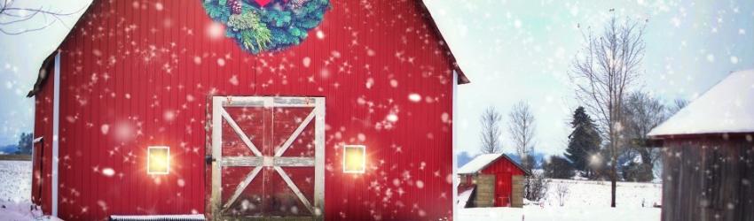 Christmas Day in the Morning by Pearl S. Buck