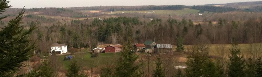 Maple Syrup Production at Mountain Winds Farm