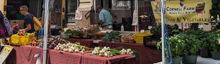 Celebrating Farmers' Markets in the Greater Capital Region