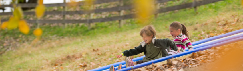 Growing Memories at Liberty Ridge Farm