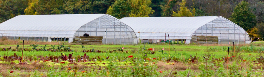 Building Community at Pitney Meadows Community Farm