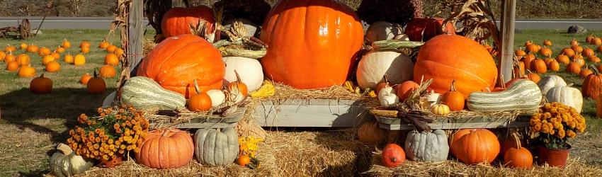 Celebrating Fall and the Harvest Season in the Hudson–Mohawk Region