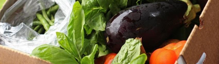 Community Supported Agriculture (CSA): Fresh Food, Strong Farms, Connected Communities