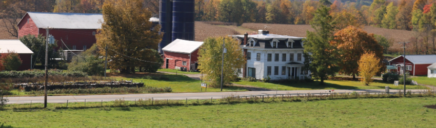 Fresh Flavor and Family Tradition at Damin Farm