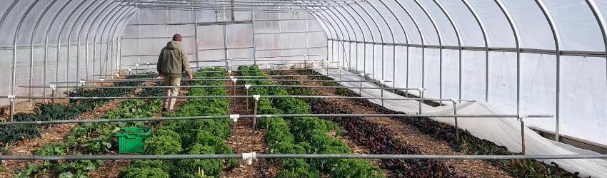 Laughing Earth Farm – Where Community, Conservation, and Good Food Grow Together