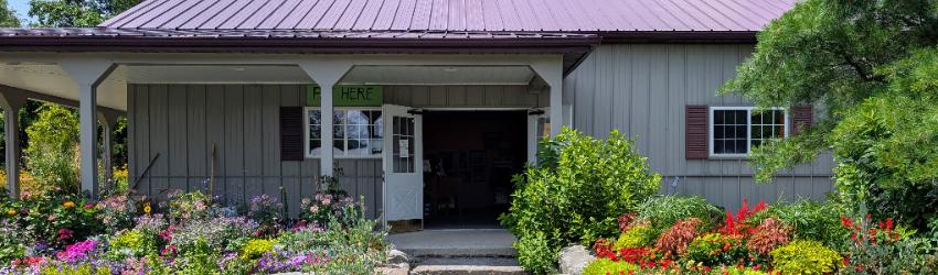 AUGUST IS A GREAT TIME TO PLANT - TIPS FROM ZEMA’S NURSERY