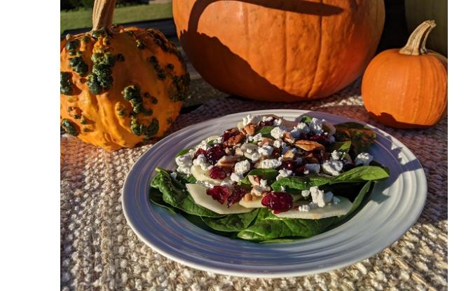 Apple Cranberry Spinach Salad with Goat Cheese
