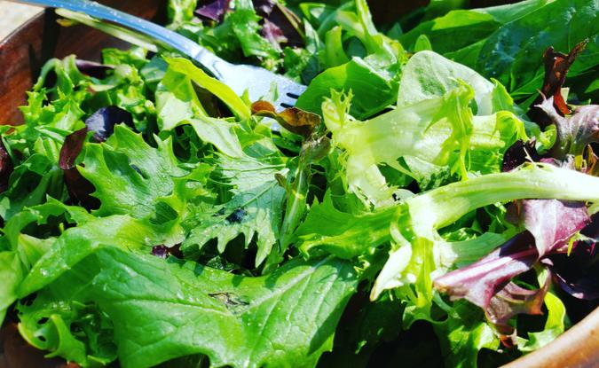 Mixed Greens & Mandarin Orange with Asian Vinaigrette