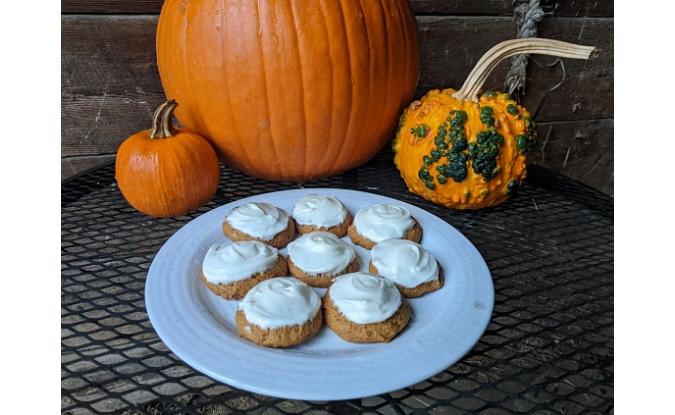 Pumpkin Cookies