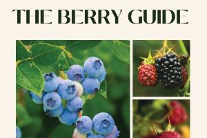 Local Food Guides